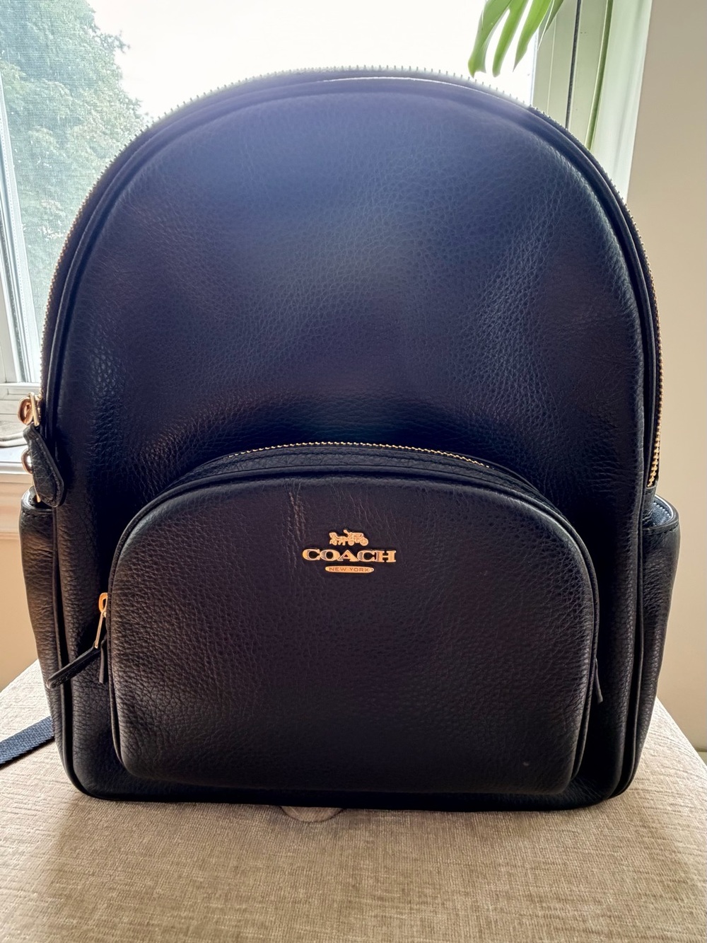 Coach Black Pebbled Leather Mini Backpack with Gold Hardware